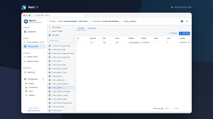 Next DB editor showing the object tree beside a paginated table-browse grid with Browse and Structure tabs