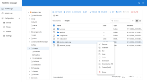Next File Manager's right-click context menu open over a selected file, listing rename, duplicate, edit, copy, download and delete