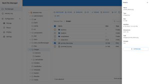 Next File Manager's details panel showing the name, type, size, dimensions and path of a selected image
