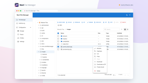 Next File Manager's right-click context menu open over a selected file, listing rename, duplicate, edit, copy, download and delete
