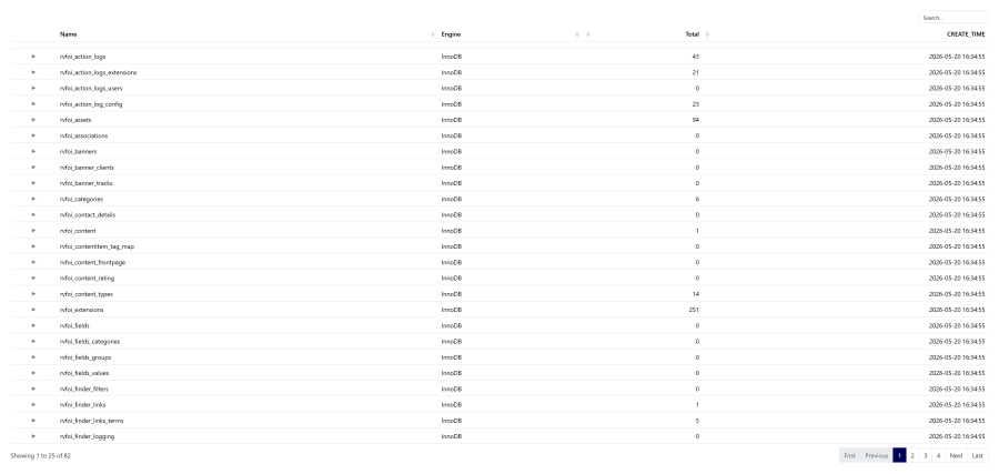 A rendered frontend Data View showing a styled table with sortable column headers, a global search box, and pagination controls